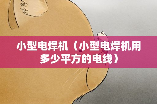 小型电焊机（小型电焊机用多少平方的电线）