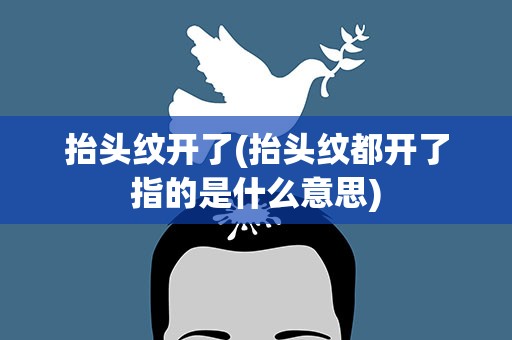 抬头纹开了(抬头纹都开了指的是什么意思)
