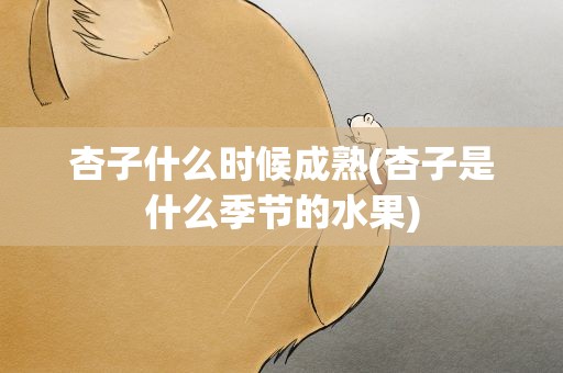 杏子什么时候成熟(杏子是什么季节的水果)