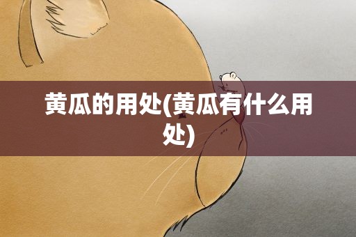 黄瓜的用处(黄瓜有什么用处)