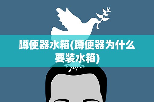蹲便器水箱(蹲便器为什么要装水箱)