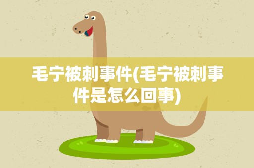 毛宁被刺事件(毛宁被刺事件是怎么回事)