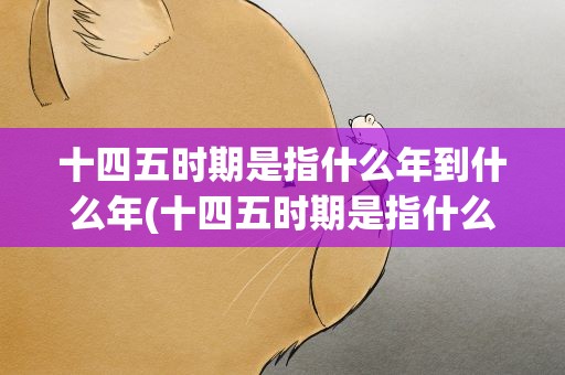 十四五时期是指什么年到什么年(十四五时期是指什么年到什么呢)