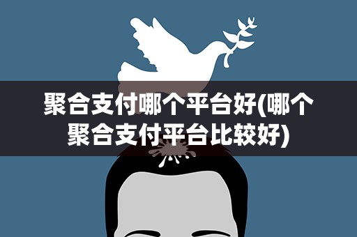 聚合支付哪个平台好(哪个聚合支付平台比较好)