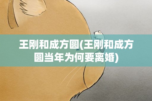 王刚和成方圆(王刚和成方圆当年为何要离婚)