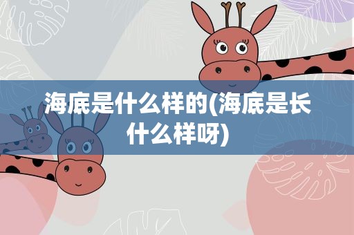 海底是什么样的(海底是长什么样呀)