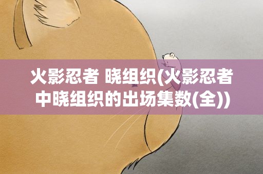 火影忍者 晓组织(火影忍者中晓组织的出场集数(全))
