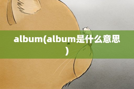 album(album是什么意思)