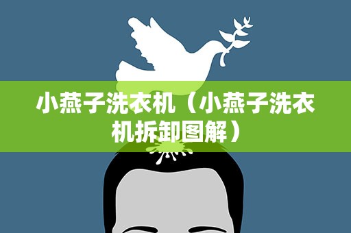 小燕子洗衣机（小燕子洗衣机拆卸图解）