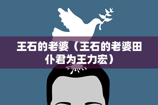 王石的老婆（王石的老婆田仆君为王力宏）