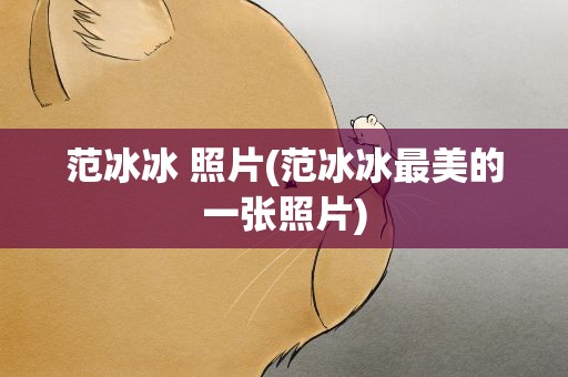 范冰冰 照片(范冰冰最美的一张照片)