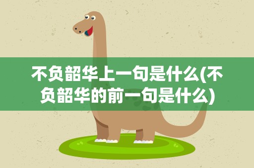 不负韶华上一句是什么(不负韶华的前一句是什么)