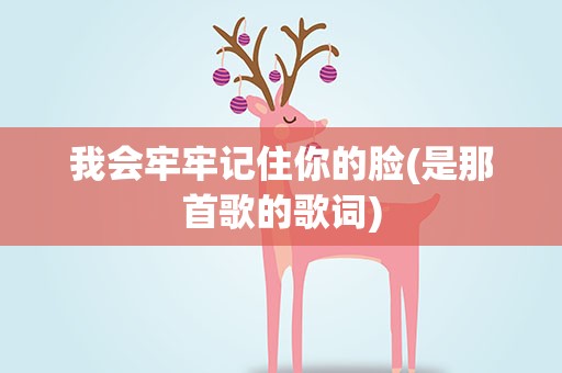 我会牢牢记住你的脸(是那首歌的歌词)