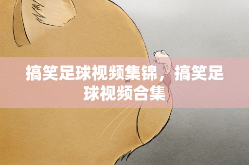 搞笑足球视频集锦，搞笑足球视频合集