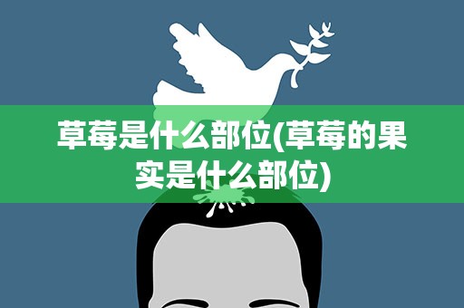 草莓是什么部位(草莓的果实是什么部位)