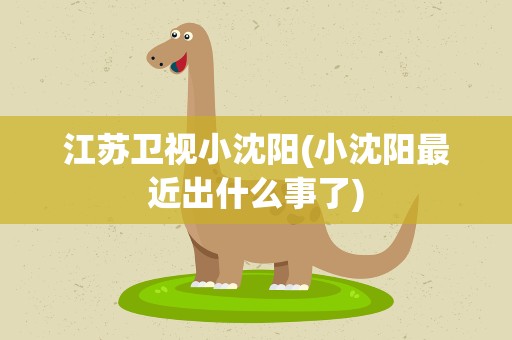 江苏卫视小沈阳(小沈阳最近出什么事了)
