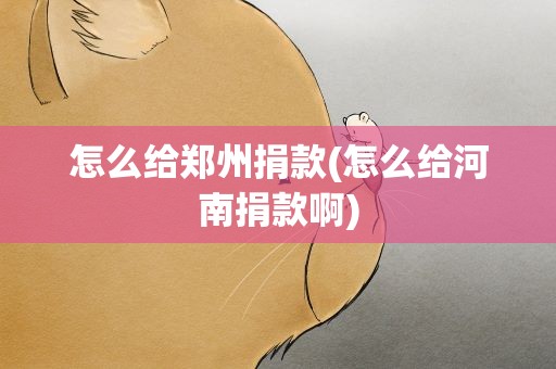 怎么给郑州捐款(怎么给河南捐款啊)