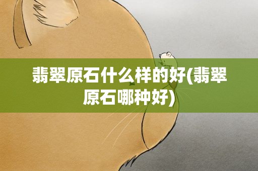 翡翠原石什么样的好(翡翠原石哪种好)