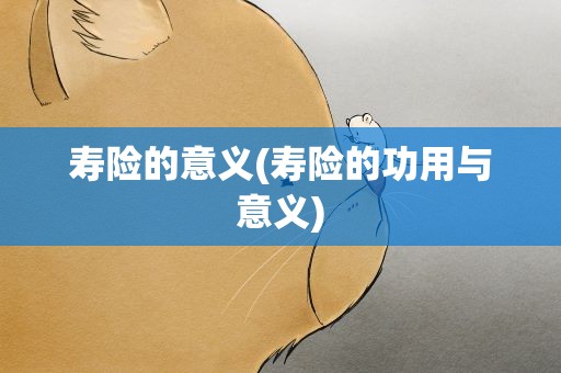 寿险的意义(寿险的功用与意义)