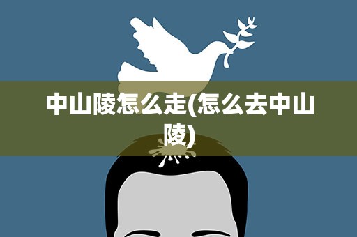中山陵怎么走(怎么去中山陵)