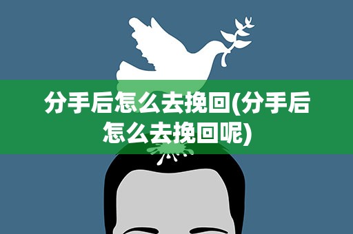 分手后怎么去挽回(分手后怎么去挽回呢)