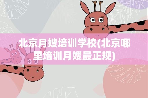 北京月嫂培训学校(北京哪里培训月嫂最正规)