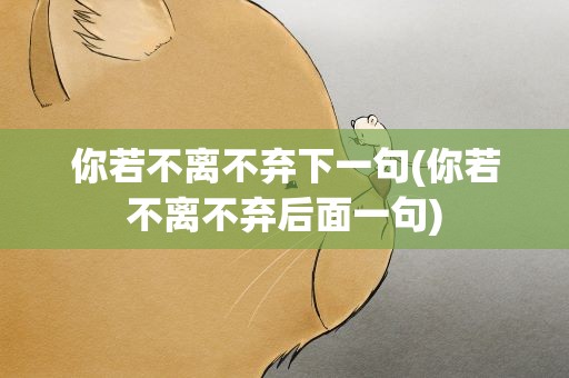 你若不离不弃下一句(你若不离不弃后面一句)