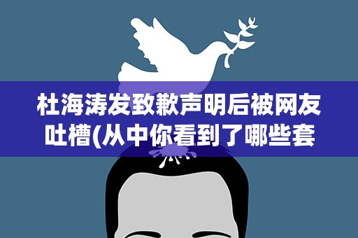 杜海涛发致歉声明后被网友吐槽(从中你看到了哪些套路)