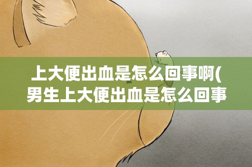 上大便出血是怎么回事啊(男生上大便出血是怎么回事啊)