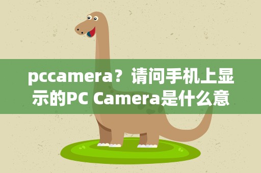 pccamera？请问手机上显示的PC Camera是什么意思