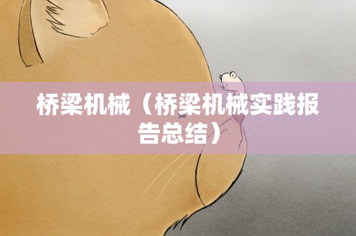 桥梁机械（桥梁机械实践报告总结）