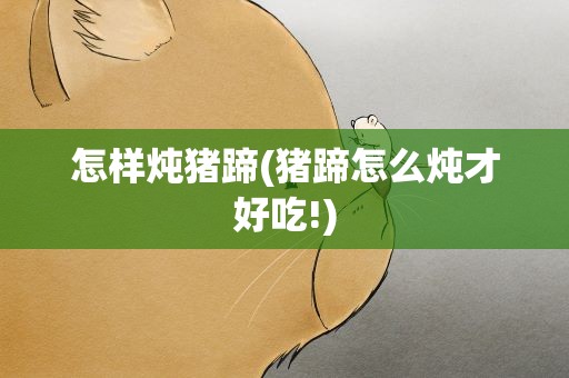 怎样炖猪蹄(猪蹄怎么炖才好吃!)