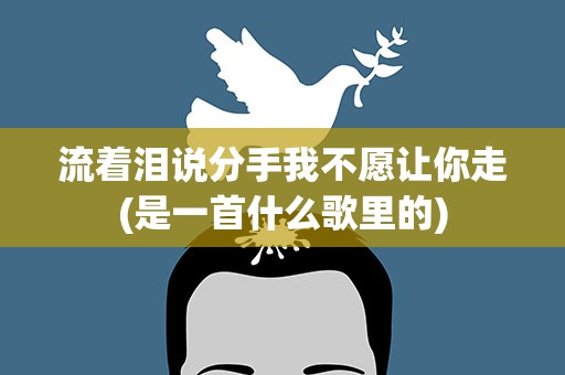 流着泪说分手我不愿让你走(是一首什么歌里的)