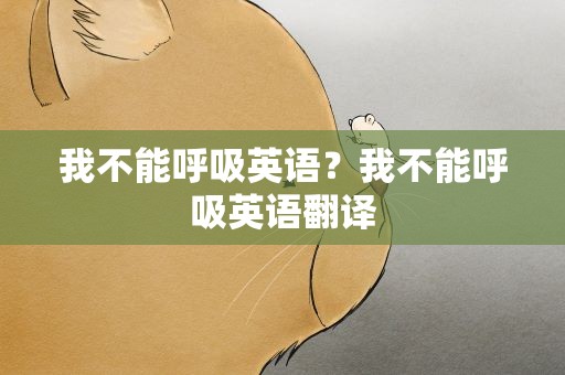 我不能呼吸英语？我不能呼吸英语翻译