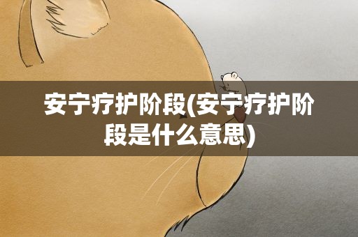 安宁疗护阶段(安宁疗护阶段是什么意思)