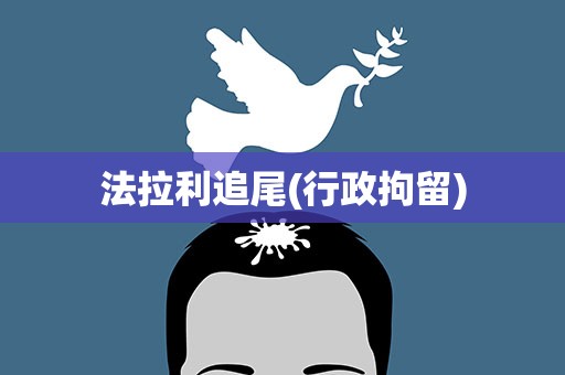 法拉利追尾(行政拘留)