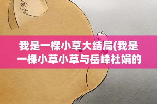 我是一棵小草大结局(我是一棵小草小草与岳峰杜娟的结局)