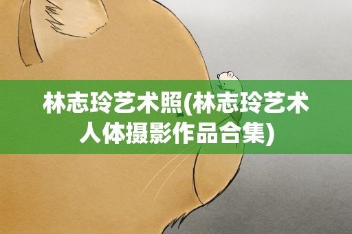 林志玲艺术照(林志玲艺术人体摄影作品合集)