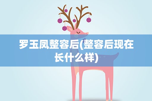 罗玉凤整容后(整容后现在长什么样)