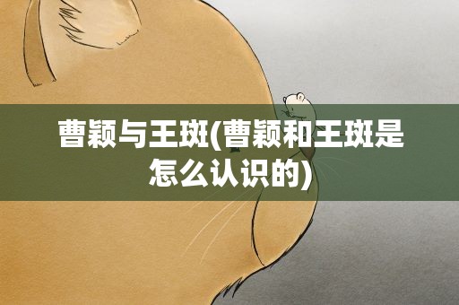 曹颖与王斑(曹颖和王斑是怎么认识的)