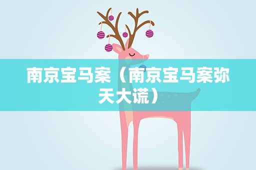 南京宝马案（南京宝马案弥天大谎）
