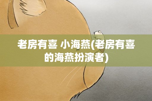 老房有喜 小海燕(老房有喜的海燕扮演者)