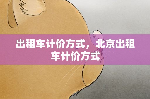 出租车计价方式，北京出租车计价方式