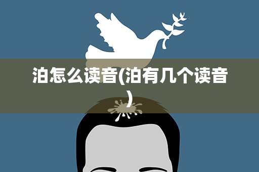 泊怎么读音(泊有几个读音)