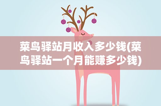菜鸟驿站月收入多少钱(菜鸟驿站一个月能赚多少钱)