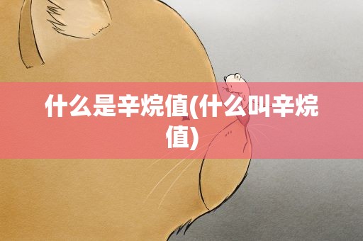什么是辛烷值(什么叫辛烷值)