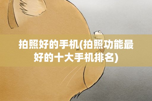 拍照好的手机(拍照功能最好的十大手机排名)