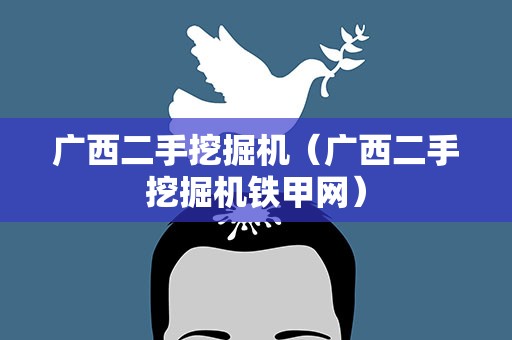 广西二手挖掘机（广西二手挖掘机铁甲网）