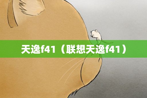 天逸f41（联想天逸f41）