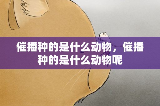 催播种的是什么动物，催播种的是什么动物呢